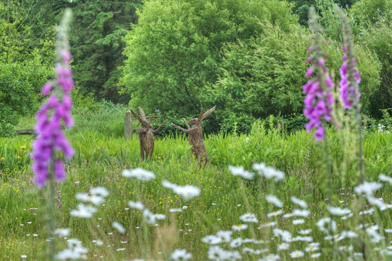 Orroland Holiday Cottages Dundrennan Buitenkant foto