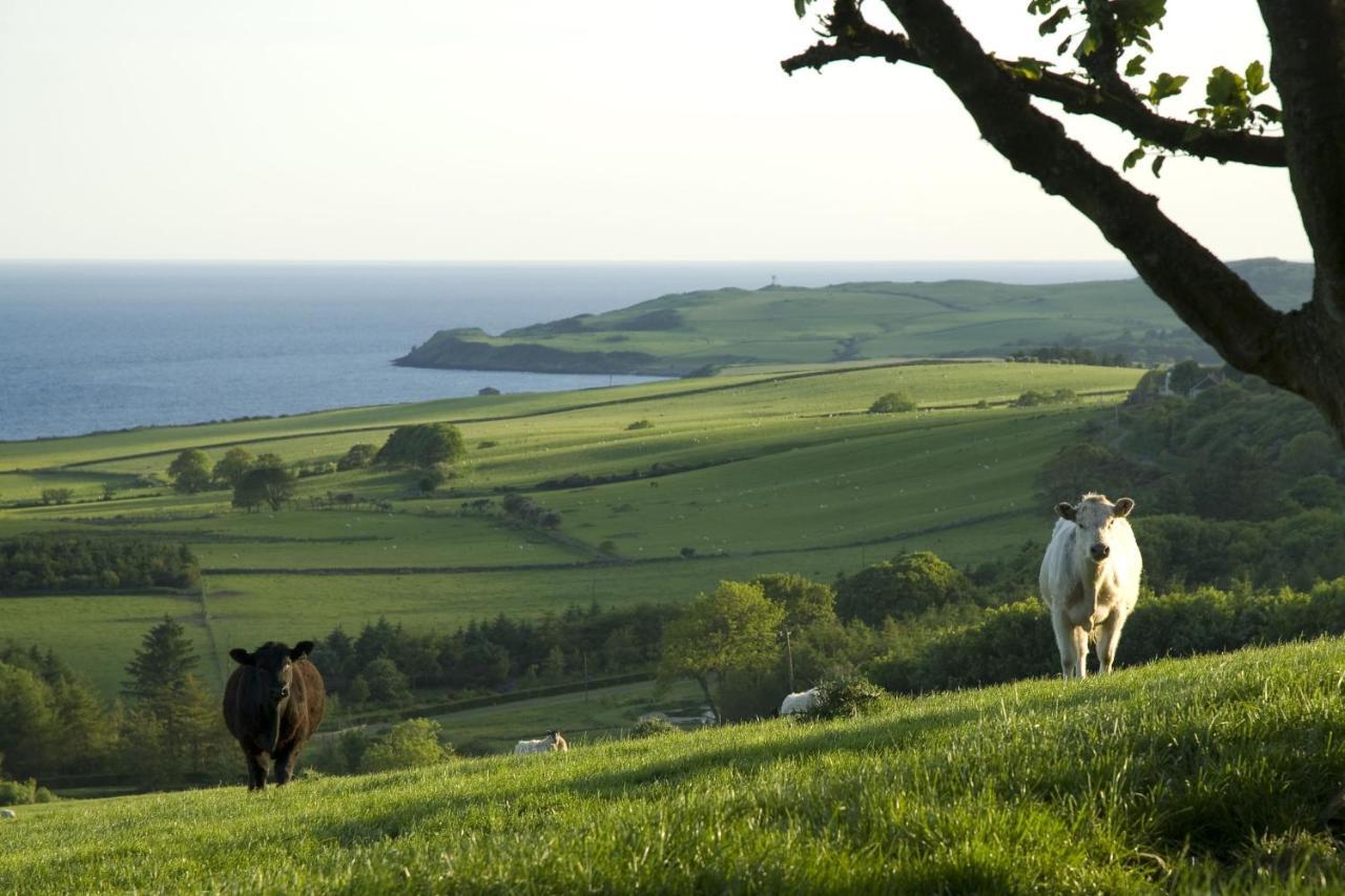 Orroland Holiday Cottages Dundrennan Buitenkant foto