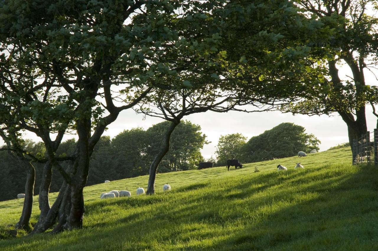 Orroland Holiday Cottages Dundrennan Buitenkant foto