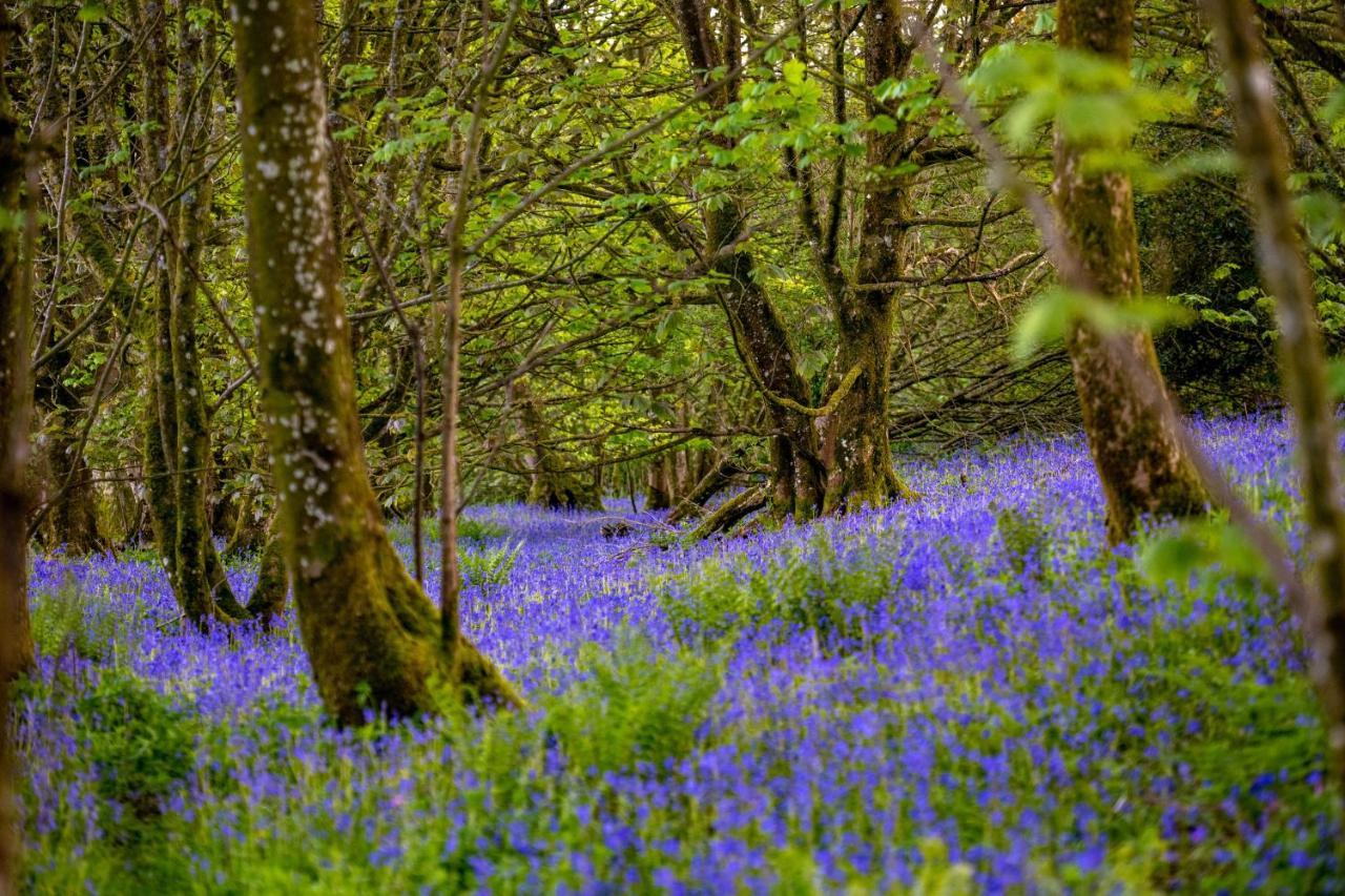 Orroland Holiday Cottages Dundrennan Buitenkant foto